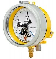 ДМ2005ф Сг1Ехd 10 МПа кл.1,5 исп V  УТ000010691