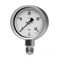 RChg G 63-3 250 bar G1/4" Глицерин УТ000015603