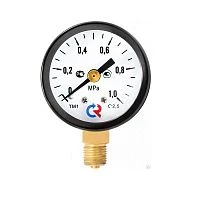 ТМ-110Р.00(0-0,6)MPa.М10х1.2,5 УТ000003683